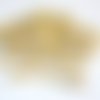 20 pinces à linge coccinelle jaune 35 x 7 mm