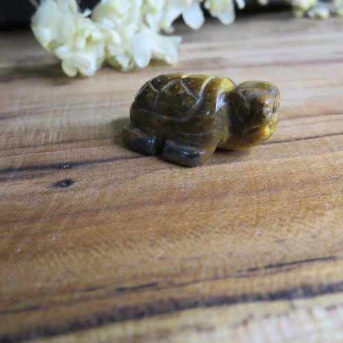 Mini tortue pierre œil de tigre naturelle non percée