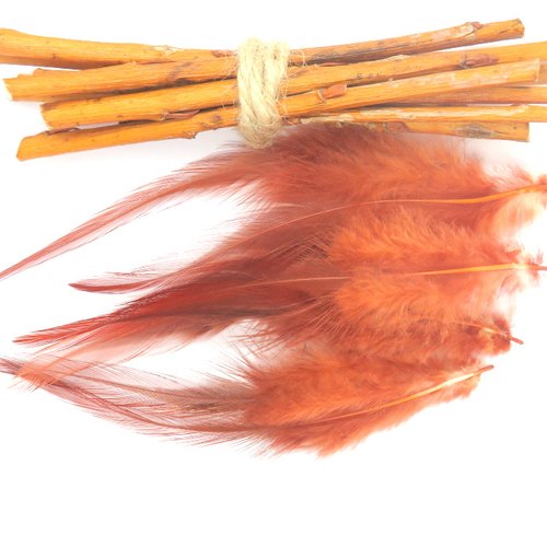 7 plumes naturelles de coq marron/rousse