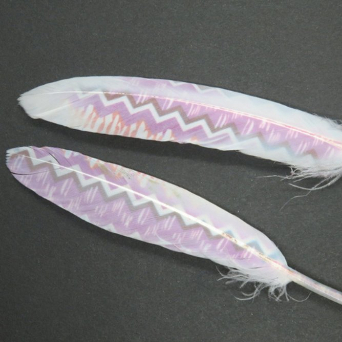 2 plumes naturelles teintés d'oie violet, blanc 13 -15 cm