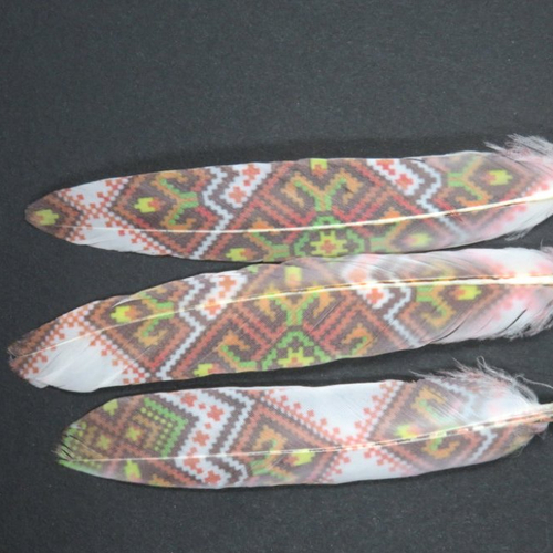 3 plumes naturelles teintés d'oie multicolore 13 -14 cm