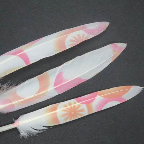 3 plumes naturelles teintés d'oie orange rose 13 -14 cm