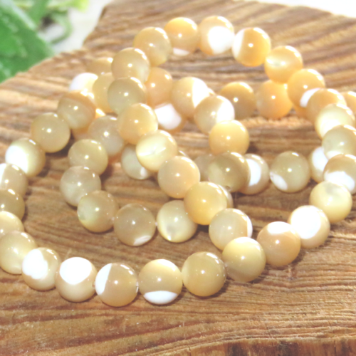 10 perles coquillage beige 6 mm