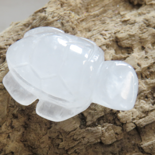 Mini tortue opaline non percée