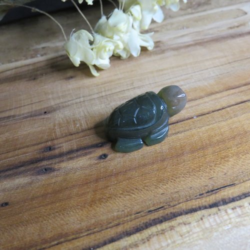 Tortue pierre en agate indienne naturelle non percée