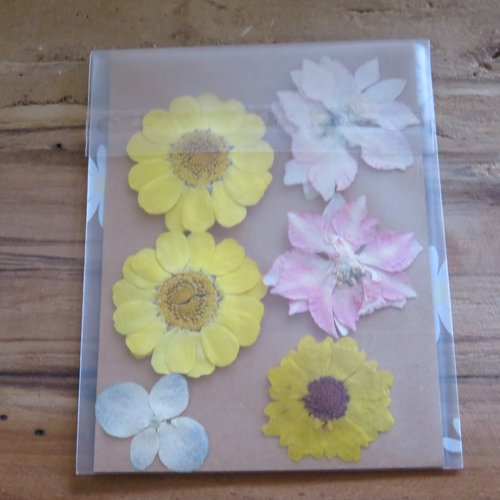 Lot de 6 fleurs séchées jaune, rose, fleurs pressées