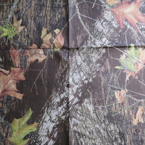 Serviette en papier feuilles d'automne et branche arbre