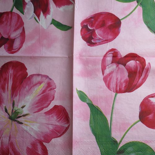 Serviette en papier fleur tulipe rose fuchsia sur fond rose
