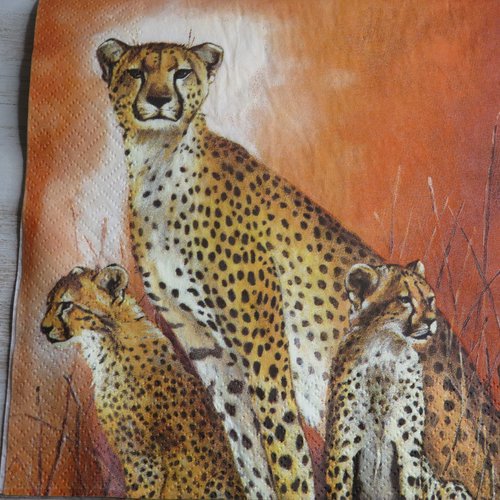 Serviette en papier léopard et ses petits