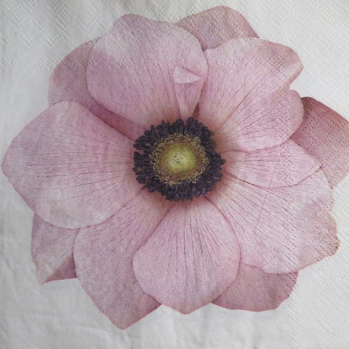 Serviette en papier fleur rose