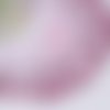 Très jolie dentelle fleurs - rose - bordeaux - 16.5 cm de large - vendu par 50 cm 