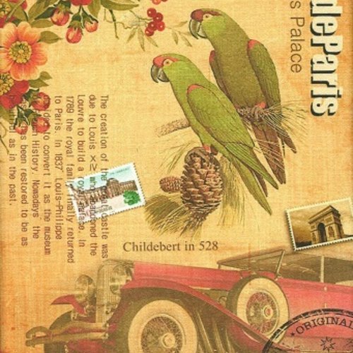 1 coupon tissu / appliqué / vignette - 20 x 15 cm - voiture ancienne - perroquet