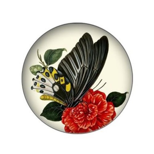 1 cabochon en verre - 25 mm - papillon noir fleur rouge