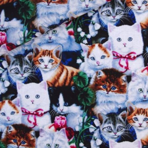 1 coupon de tissu coton tissé - jolis chats