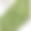 Perles naturelles coquillage - rondelles - heishi - lot de 30 - camaïeu de vert