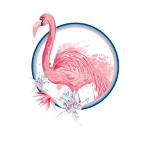 Transfert thermocollant - flamand rose - 17.5 x 22 cm