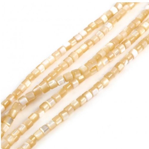 Perles naturelles coquillage - lot de 30 - camaïeu de ivoire - r602