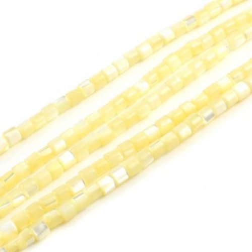 Perles naturelles coquillage - lot de 30 - jaune - r594