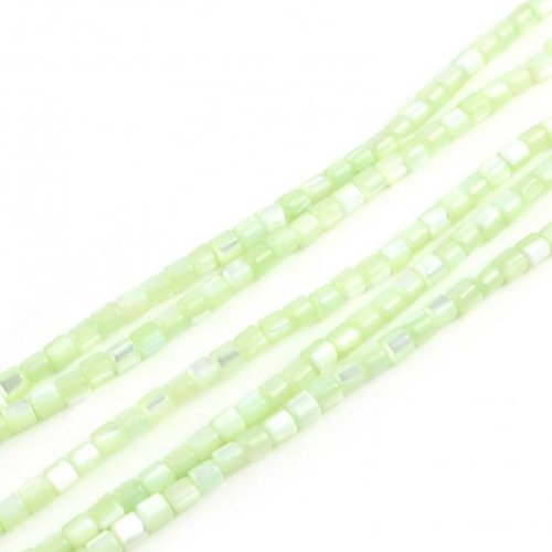 Perles naturelles coquillage - lot de 30 - vert - r592
