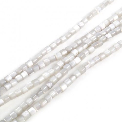 Perles naturelles coquillage - lot de 30 - gris - r597