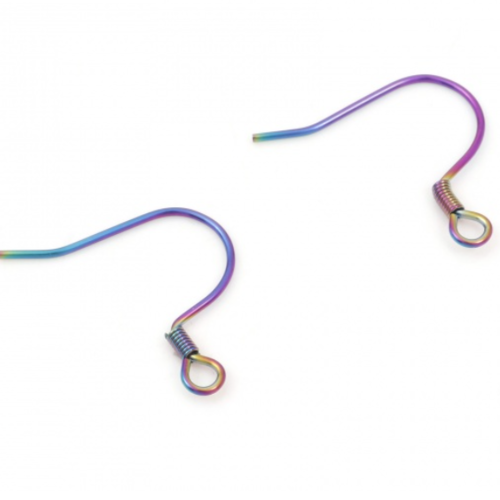 2 paires boucles d'oreille crochets en acier inoxydable 304 - irisé - r460