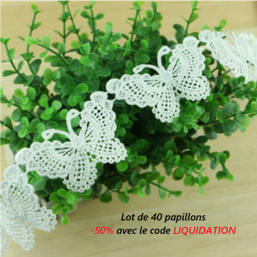 Lot de 40 papillons en dentelle - blanc nacré - d162