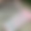 Jolie dentelle fine- fleurs - rose  - 14 cm - grande largeur - vendu au mètre