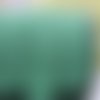 Ruban fantaisie résille - élastiqué - vert amande - 16 mm - vendu au mètre