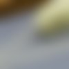 Jolie dentelle fine ivoire -  35 mm - vendu au mètre