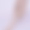Ruban en dentelle coton - 16 mm - beige
