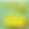 Ruban plumetis en dentelle fine - 29 mm - jaune - vendu au mètre