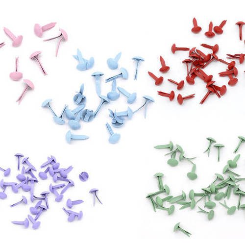 Lot de 100 attaches parisiennes - brads