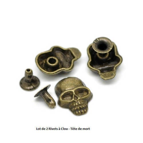 Lot de 8 rivets à clou - motif tête de mort - couleur bronze