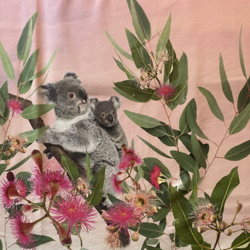 Panneau koala rose stenzo label oeko tex