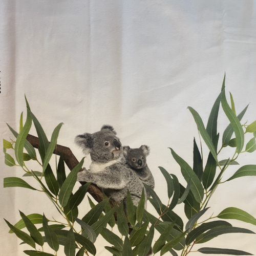 Panneau koala blanc stenzo label oeko tex