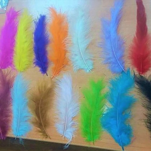 100 véritable plumes d oiseau turquoise 10 à 13cm pour décorer albums table bijoux scrapbooking embellissement décoration b1