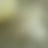 100 bourses voiles à dragées 25cm tulle jaune incrusté de paillettes imitation strass irisés brillant contours fil doré ruban satin brm