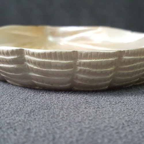 Moule Silicone Coquillage 12cm – Pour Bougie, Déco Ou Pâte Polymère