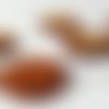 1 perles plates marron galet de coquillage de véritable nacre 20mm