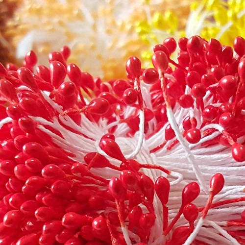 20 tiges pistils étamines rouge lustré 5.5cm pour fleurs artificielles b46