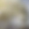 20 tiges pistils étamines beige pailleté nacré 5.5cm pour fleurs artificielles b46