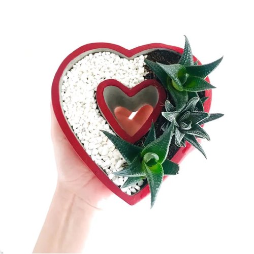 Moule silicone pot coeur 14cm pour terrarium fleur cactus succulent pour plâtre résine polyester ciment k578 40k870