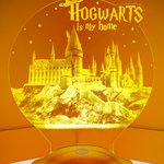 Lampe veilleuse de chevet à piles harry potter poudlard hogwarts avec effet  3d lumière led multicolore
