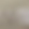 Dentelle broderie anglaise blanche avec passe ruban 5 cm largeur 