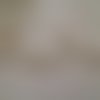 Dentelle guipure couleur beige 7  cm largeur maximum