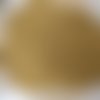 Paillette en poudre doree 5 gramme en sachet 