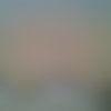 Dentelle beige argente imitation fait main 