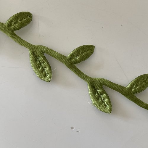 Dentelle vert liseraie a customiser 2,5 cm environ largeur