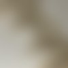 Dentelle brodée sur velours dentelle beige guipure large avec