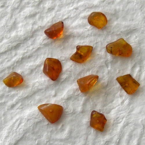 Lot de 10 perles en ambre de baltique 8- 10 mm 